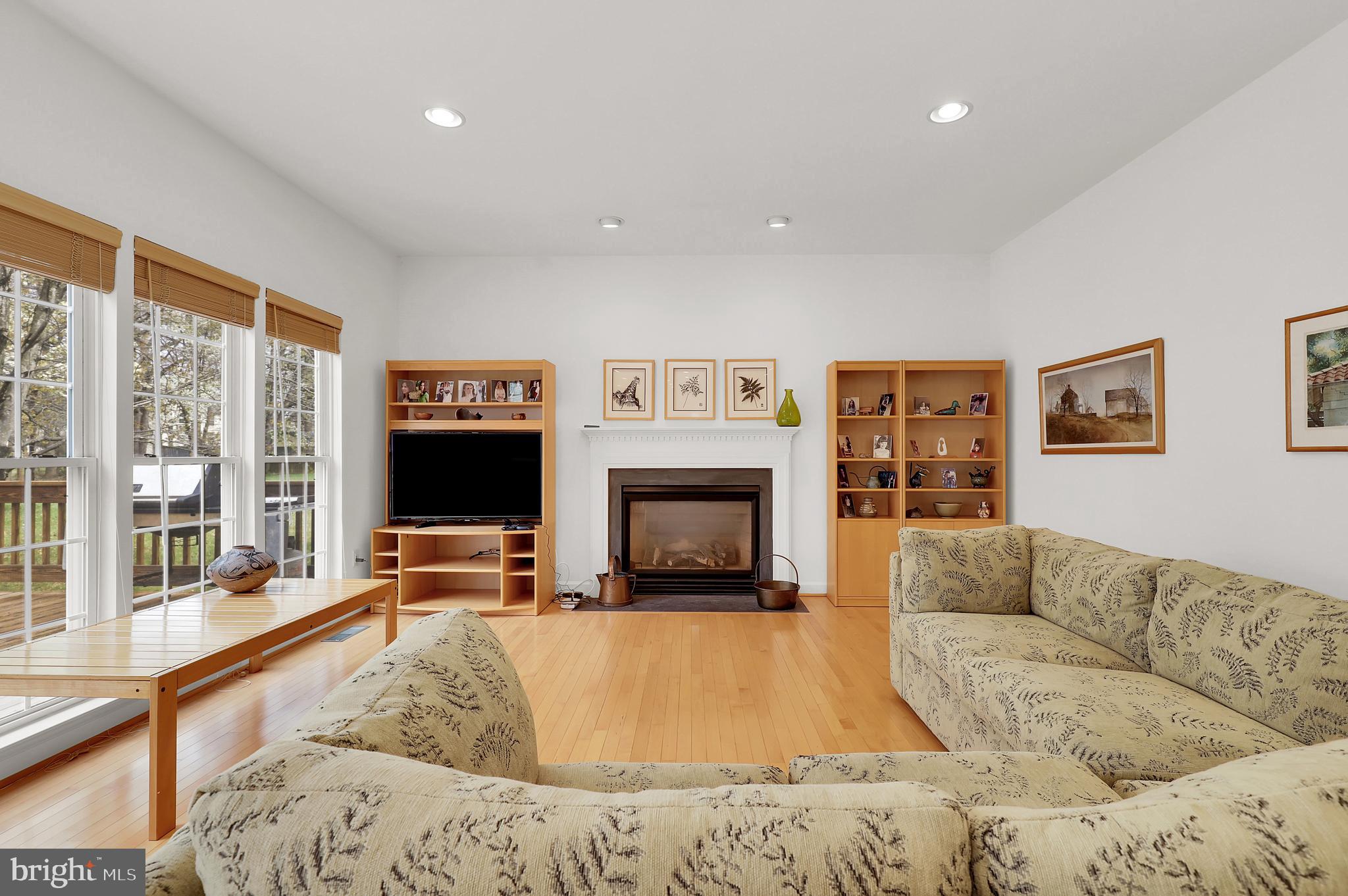 3006 Novak Terrace Burtonsville, MD 20866 - Photo 5 of 71 a living room with furniture and a fireplace