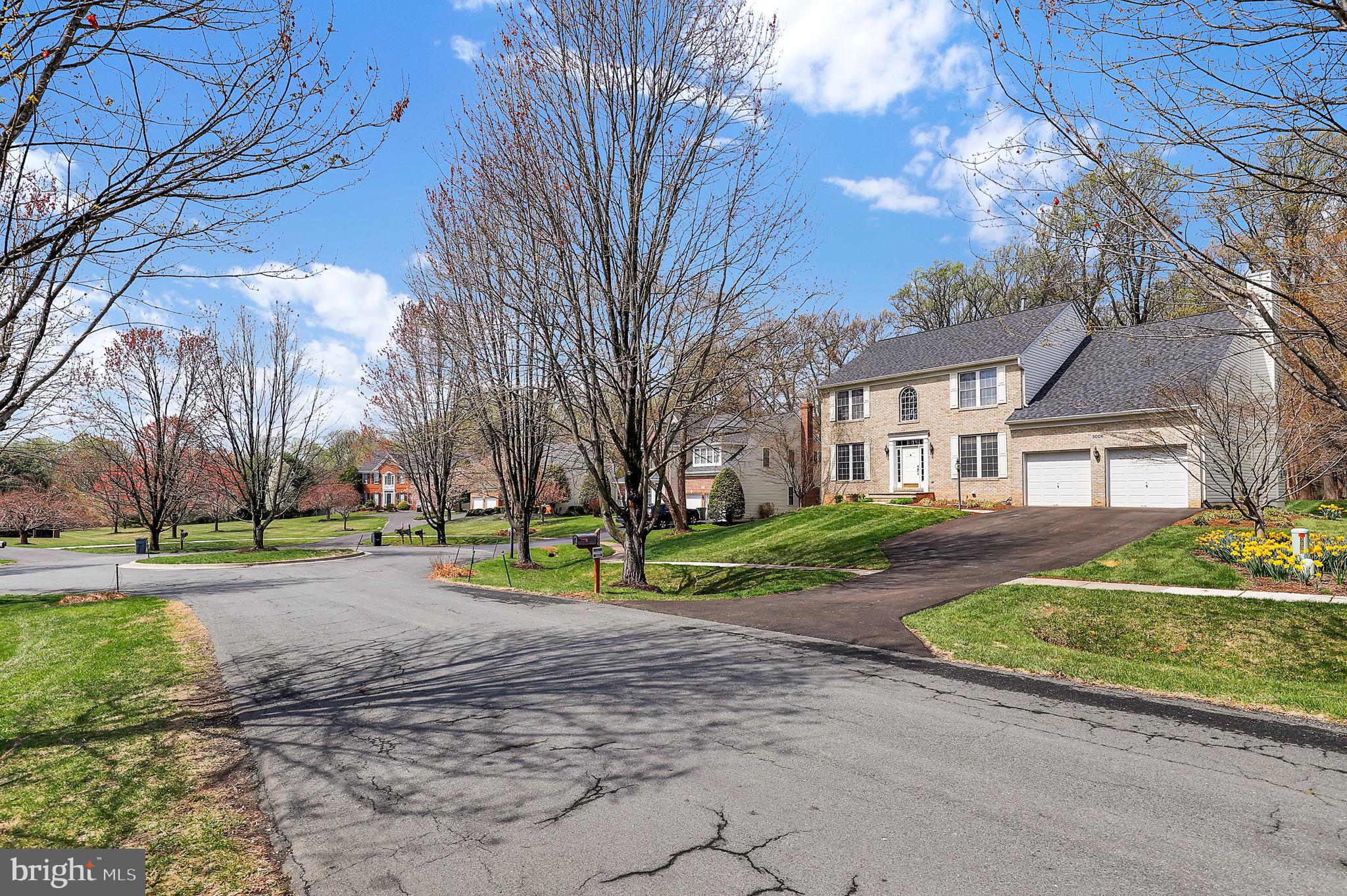 3006 Novak Terrace Burtonsville, MD 20866 - Photo 54 of 71 a view of road with large trees