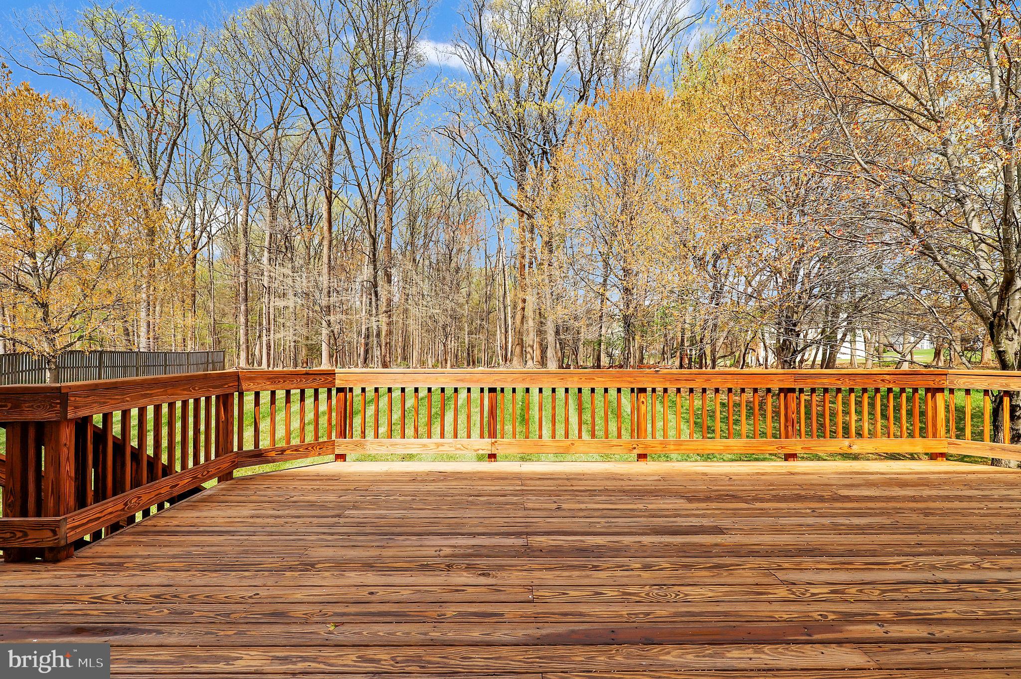 3006 Novak Terrace Burtonsville, MD 20866 - Photo 55 of 71 a view of deck with large trees and wooden fence