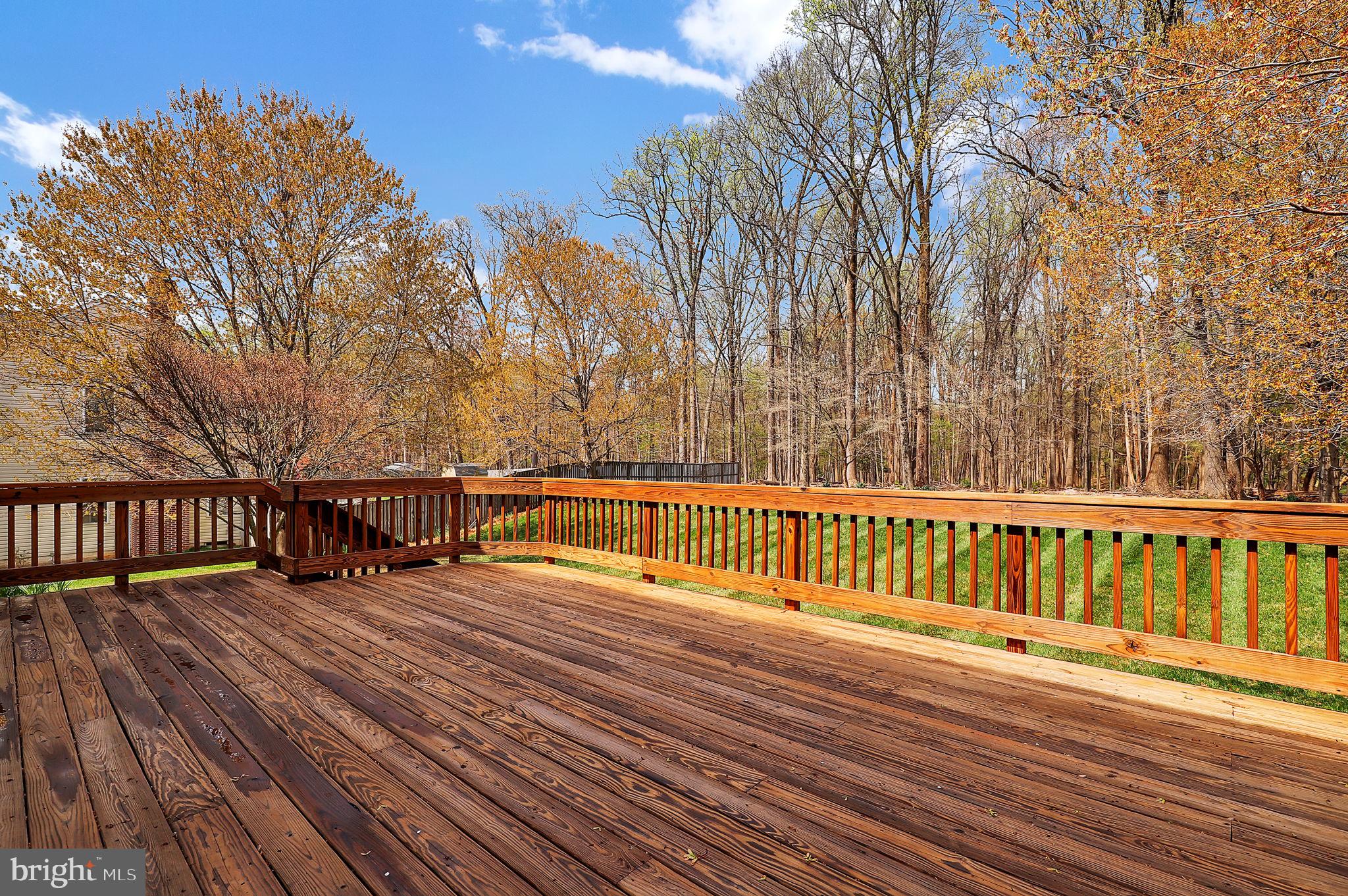 3006 Novak Terrace Burtonsville, MD 20866 - Photo 56 of 71