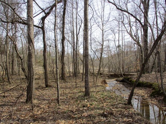 220 Bus Road Stoneville, NC 27048 - Photo 26 of 40 Gallery Image 26