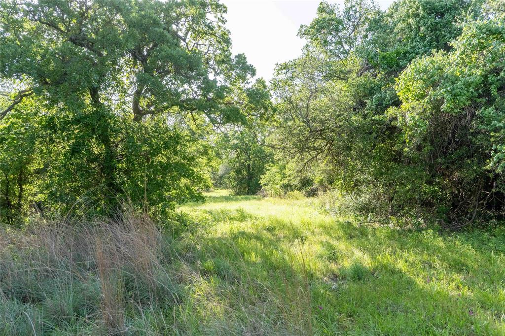 3757 Springtown Tx 76082 Springtown, TX 76082 - Photo 8 of 18
