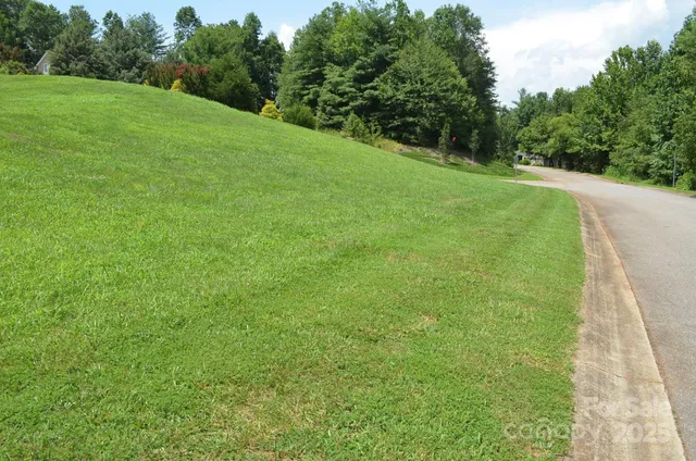 a view of a field of grass and trees