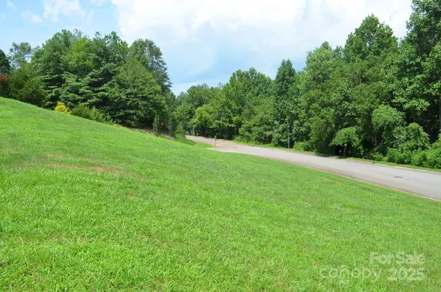 a view of a field of grass and trees