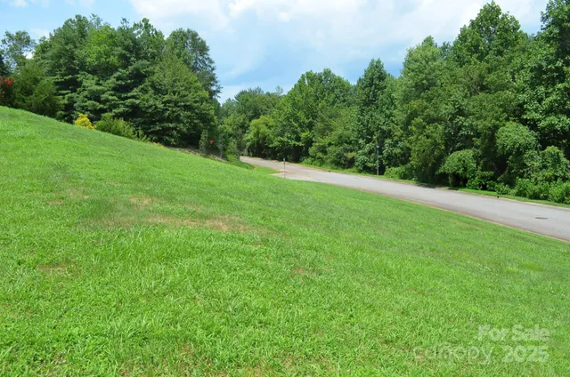 a view of a field of grass and trees