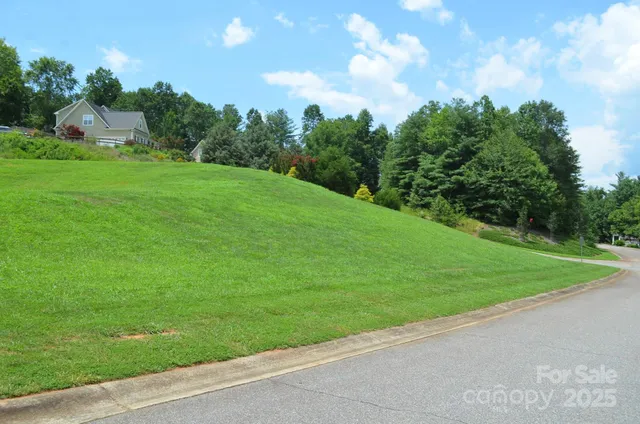 a view of a grassy field with trees in the background