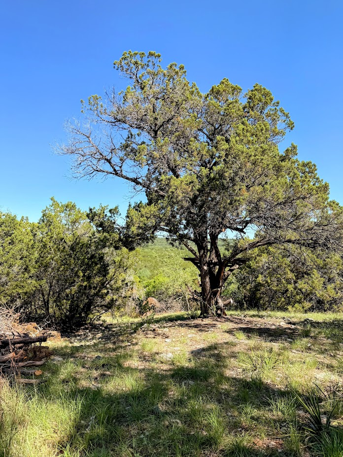 1930 South Rainbow Ranch Road Wimberley, TX 78676 - Photo 12 of 40