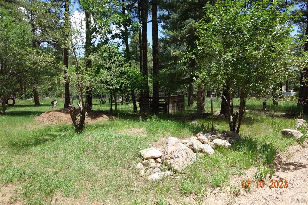 8197 Maple Drive Rye, CO 81069 - Photo 22 of 24