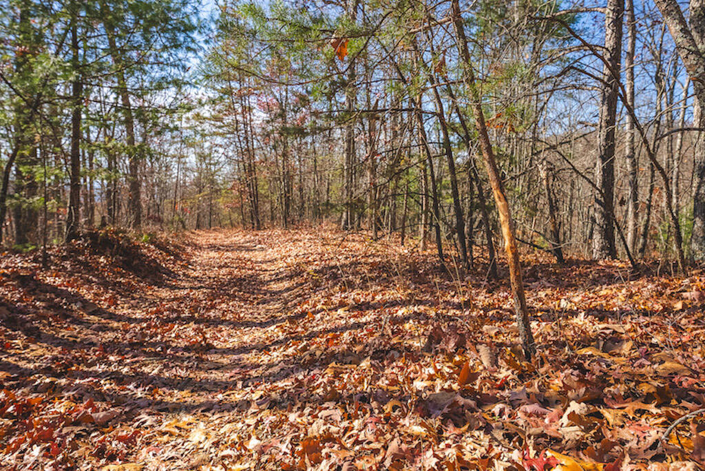 0 Pleasantview Road Austinville, VA 24312 - Photo 12 of 87 DSC03877