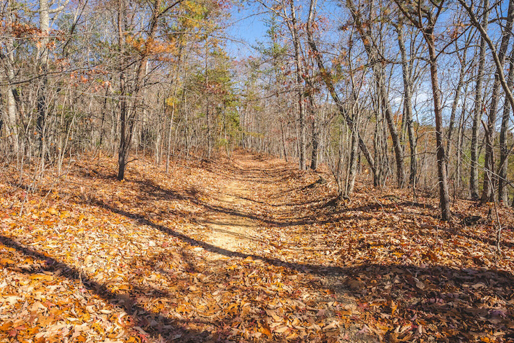 0 Pleasantview Road Austinville, VA 24312 - Photo 13 of 87 DSC03878