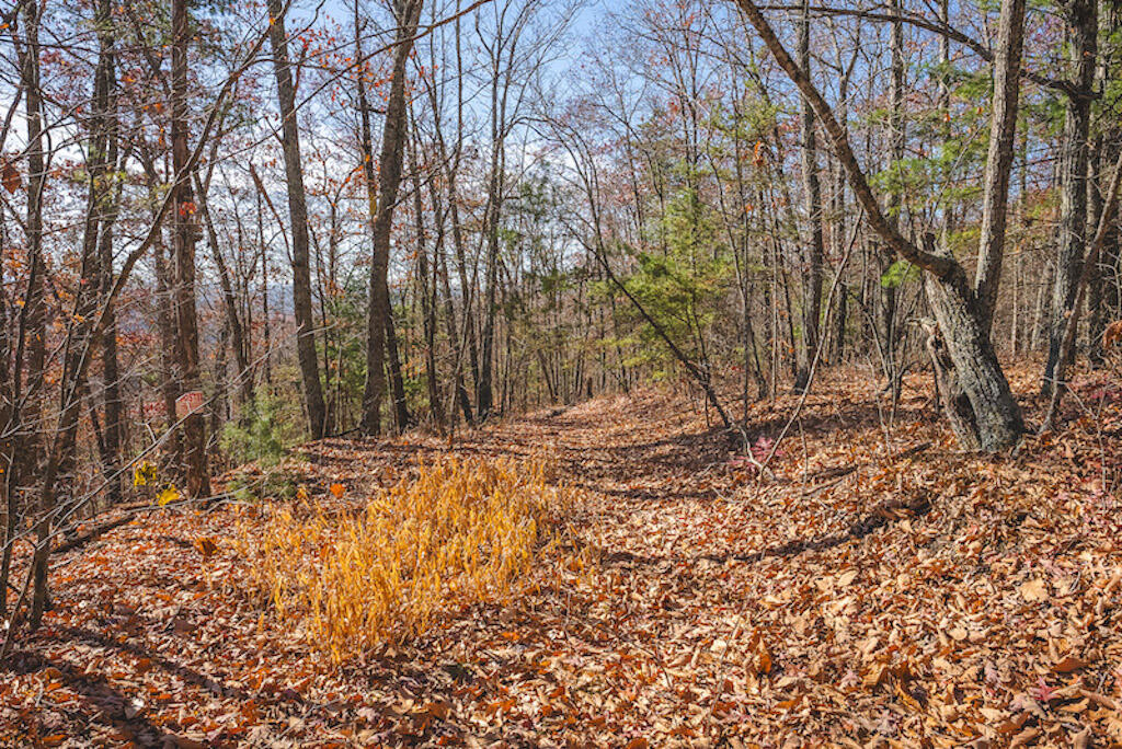 0 Pleasantview Road Austinville, VA 24312 - Photo 14 of 87 DSC03879