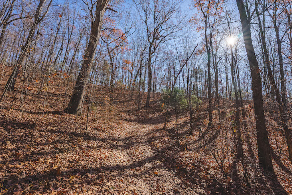 0 Pleasantview Road Austinville, VA 24312 - Photo 19 of 87 DSC03884