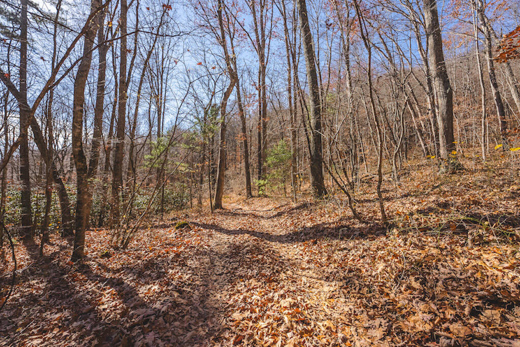 0 Pleasantview Road Austinville, VA 24312 - Photo 21 of 87 DSC03886
