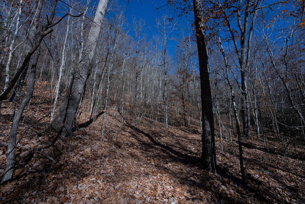 0 Pleasantview Road Austinville, VA 24312 - Photo 23 of 87 DSC03888
