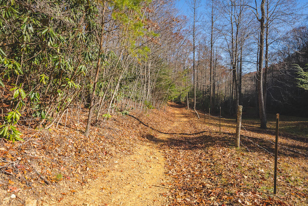 0 Pleasantview Road Austinville, VA 24312 - Photo 27 of 87 DSC03892