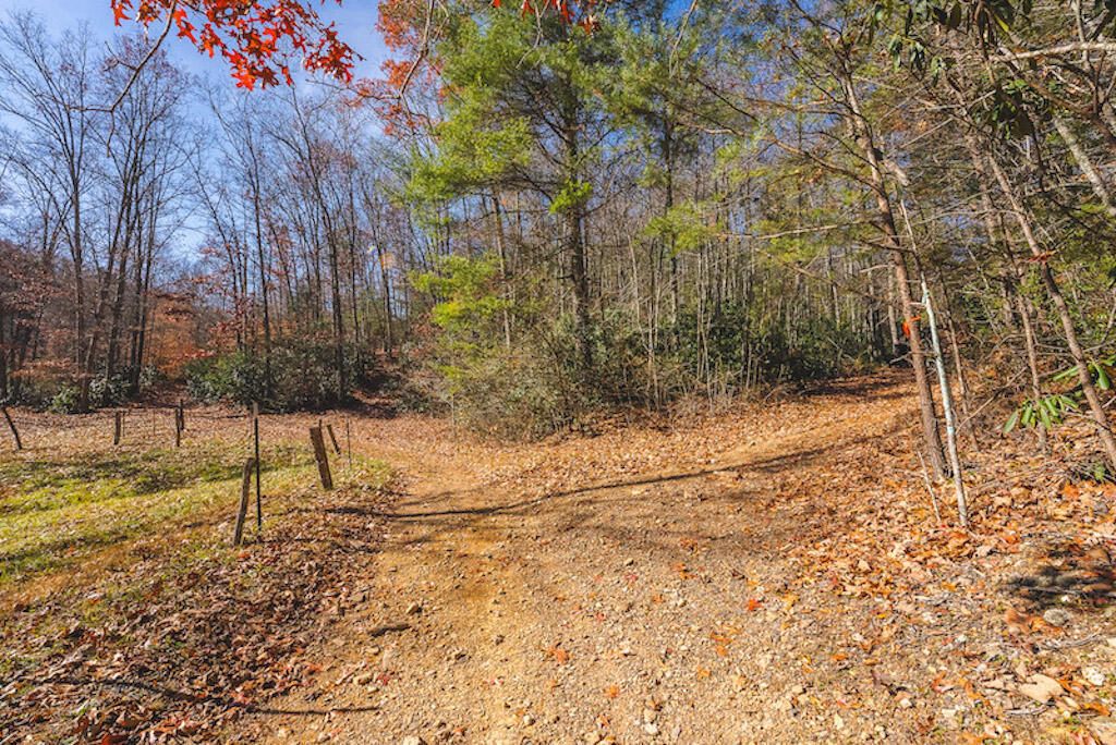 0 Pleasantview Road Austinville, VA 24312 - Photo 28 of 87 DSC03893