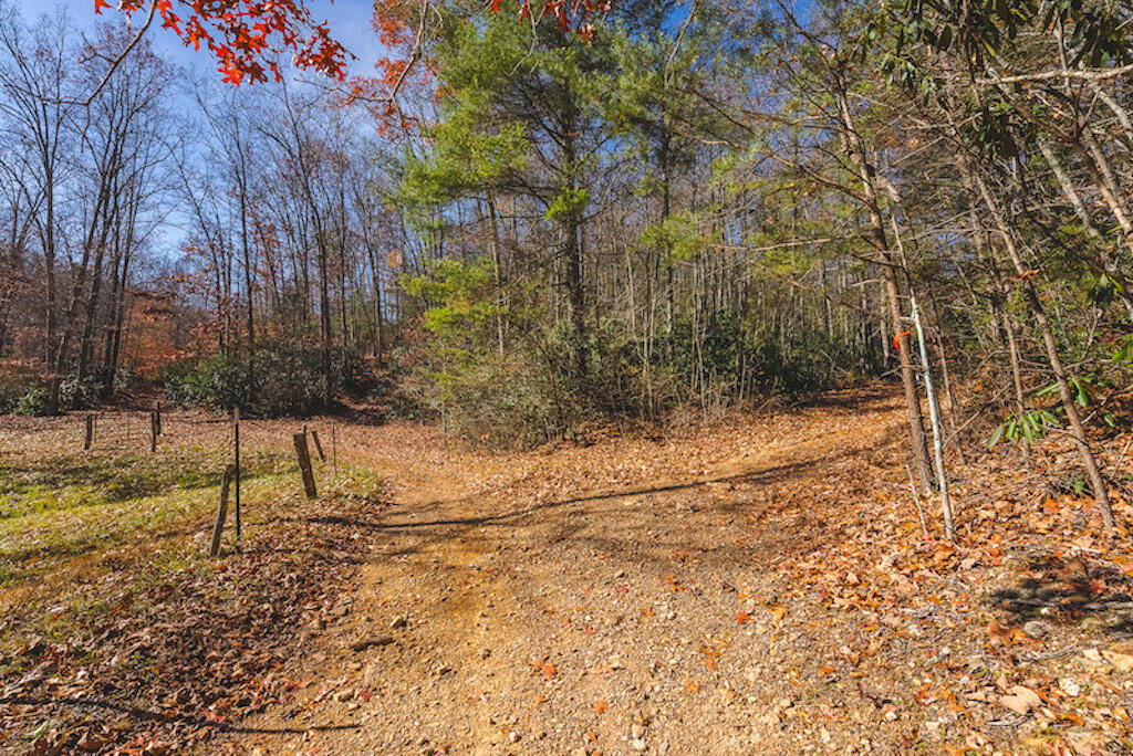 0 Pleasantview Road Austinville, VA 24312 - Photo 29 of 87 DSC03894