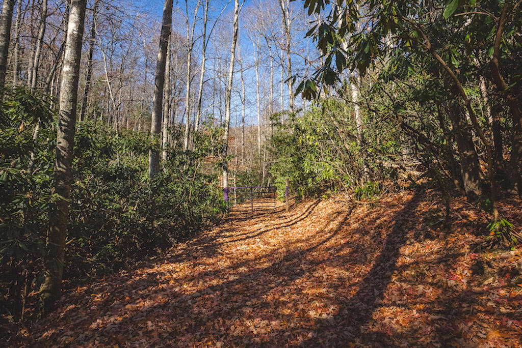 0 Pleasantview Road Austinville, VA 24312 - Photo 30 of 87 DSC03895