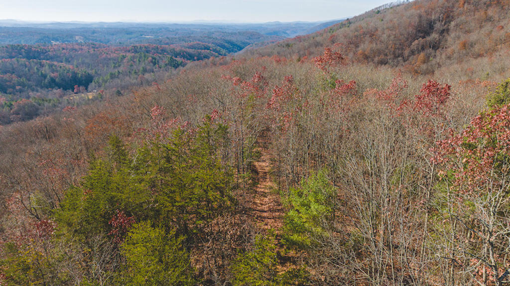 0 Pleasantview Road Austinville, VA 24312 - Photo 3 of 87 DJI_20231113103926_0259_D