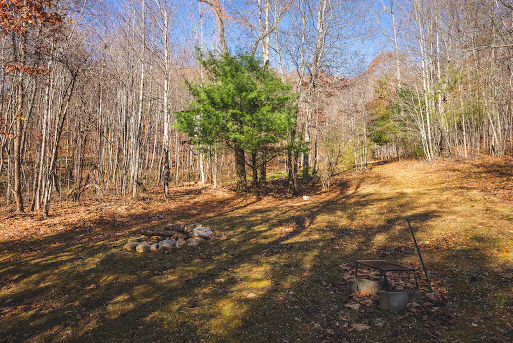 0 Pleasantview Road Austinville, VA 24312 - Photo 31 of 87 DSC03896