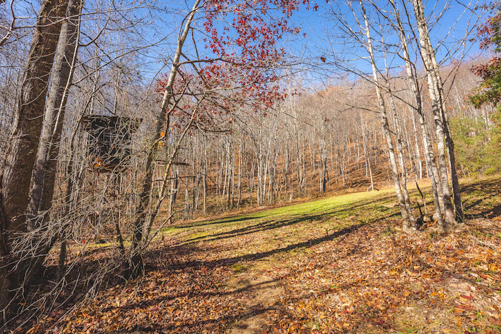 0 Pleasantview Road Austinville, VA 24312 - Photo 32 of 87 DSC03897