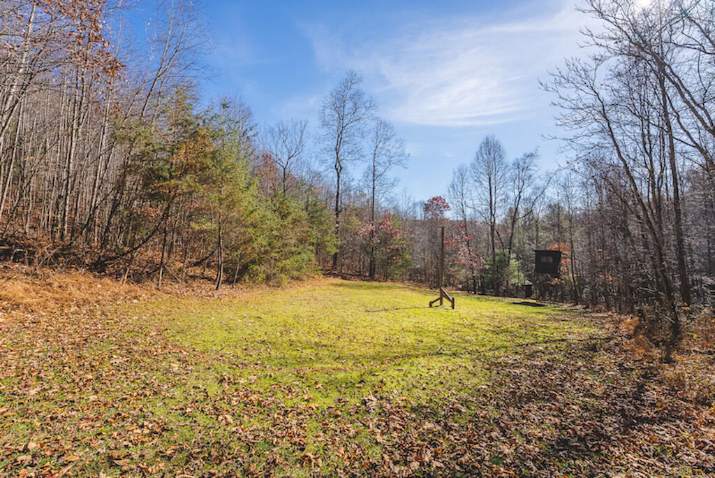 0 Pleasantview Road Austinville, VA 24312 - Photo 35 of 87 DSC03900