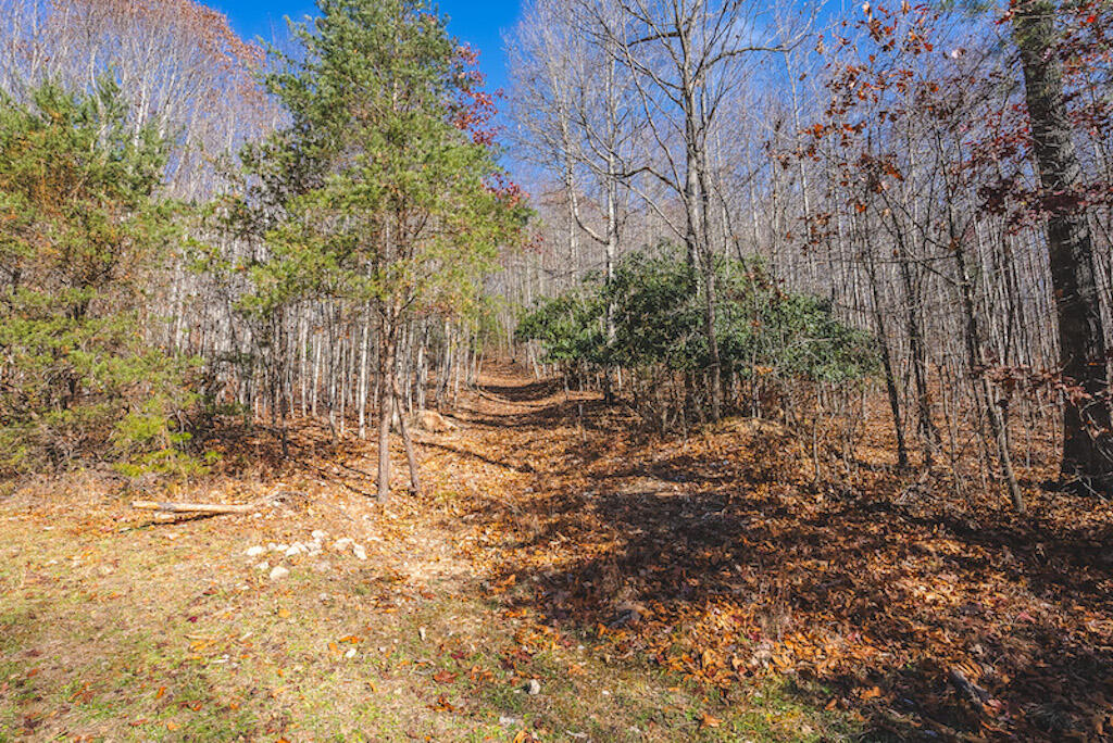 0 Pleasantview Road Austinville, VA 24312 - Photo 37 of 87 DSC03902