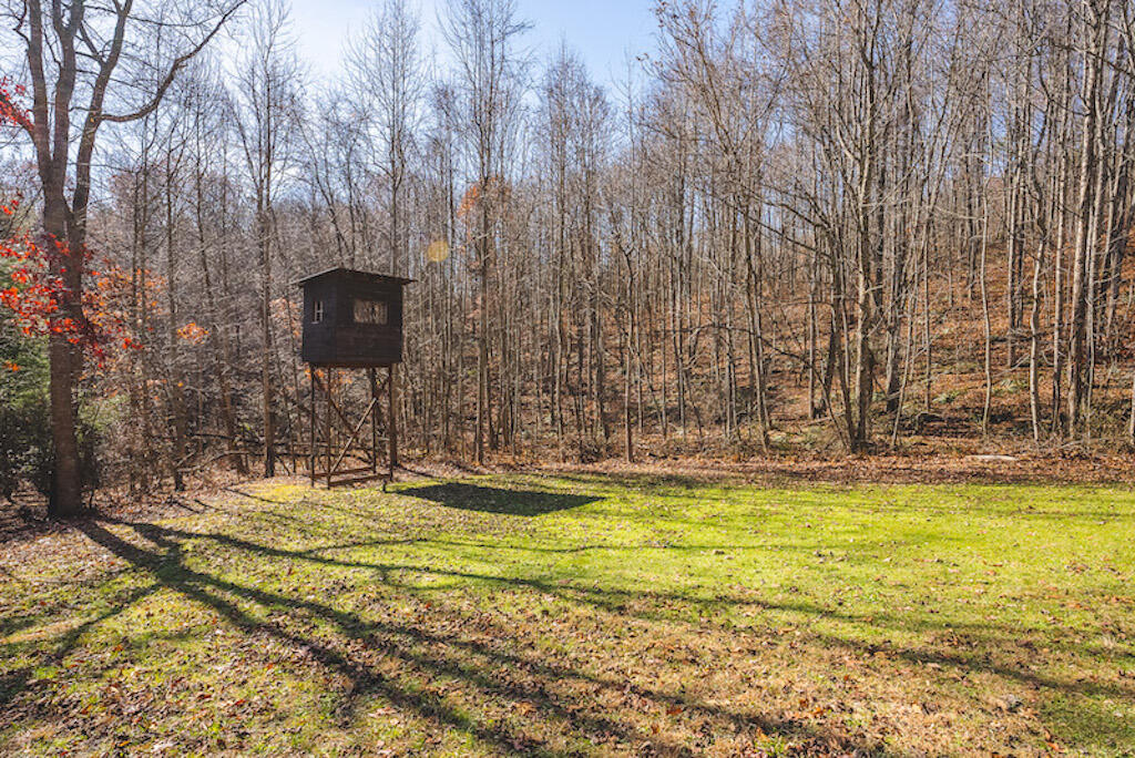 0 Pleasantview Road Austinville, VA 24312 - Photo 38 of 87 DSC03903