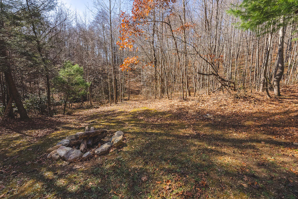 0 Pleasantview Road Austinville, VA 24312 - Photo 39 of 87 DSC03904