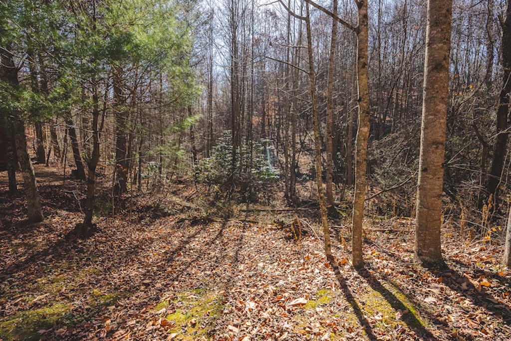 0 Pleasantview Road Austinville, VA 24312 - Photo 40 of 87 DSC03905