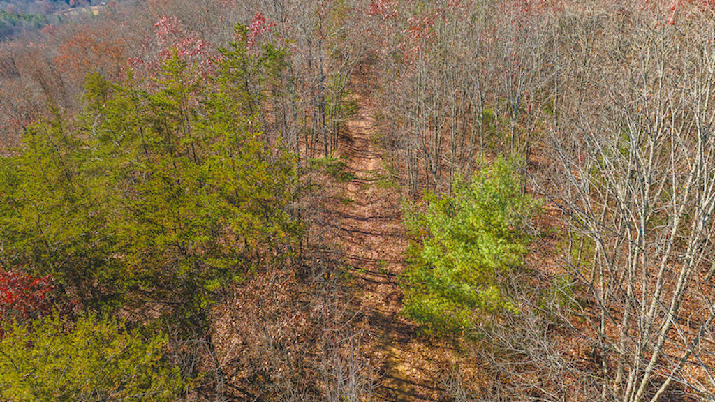 0 Pleasantview Road Austinville, VA 24312 - Photo 4 of 87 DJI_20231113103939_0260_D