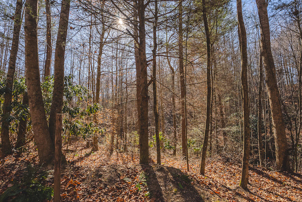 0 Pleasantview Road Austinville, VA 24312 - Photo 43 of 87 DSC03909