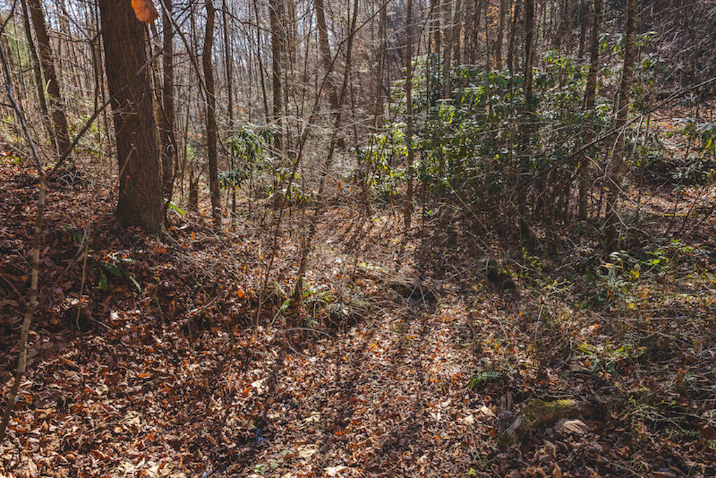 0 Pleasantview Road Austinville, VA 24312 - Photo 48 of 87 DSC03917