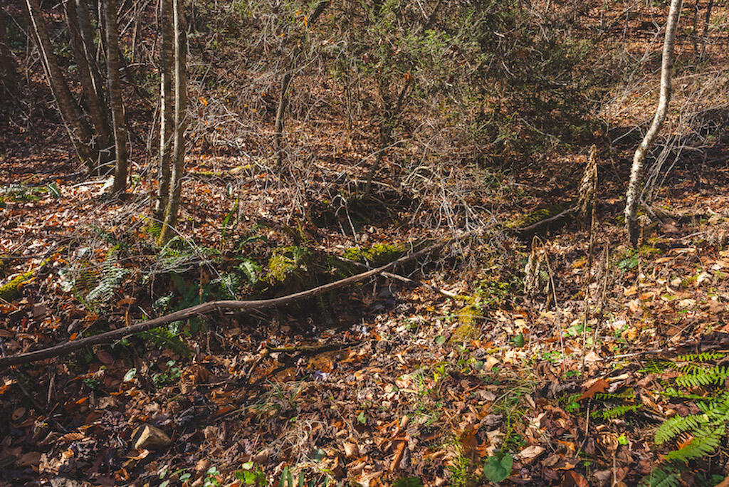0 Pleasantview Road Austinville, VA 24312 - Photo 49 of 87 DSC03918