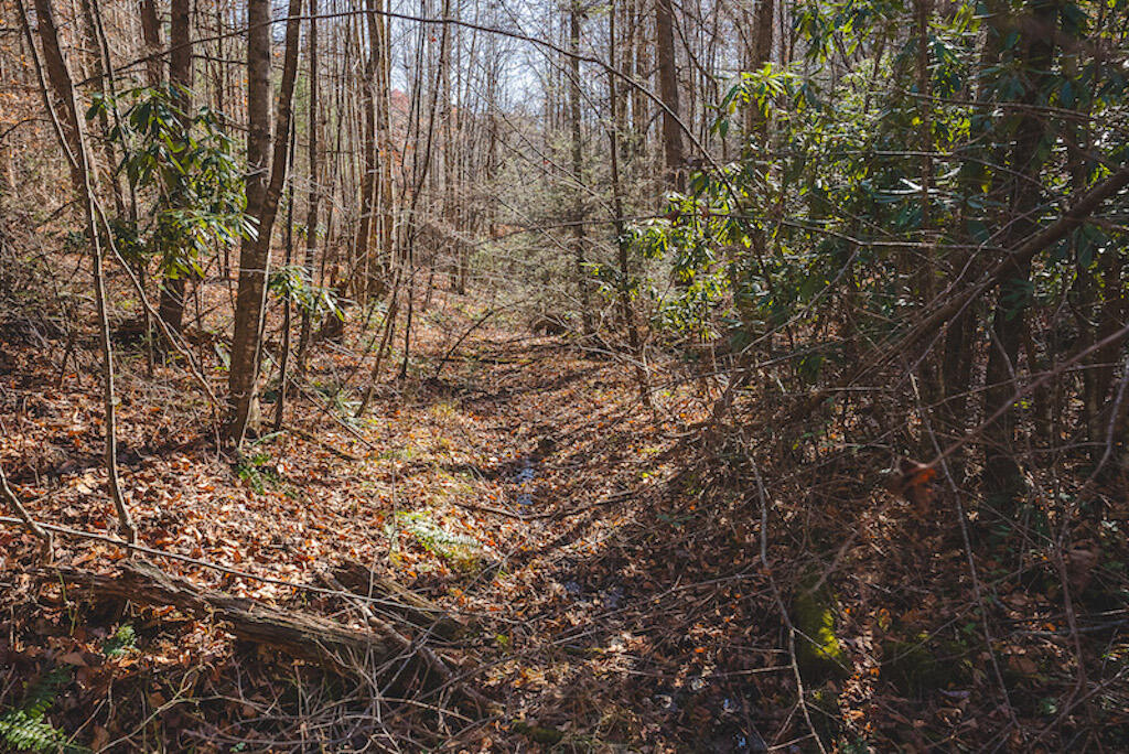 0 Pleasantview Road Austinville, VA 24312 - Photo 50 of 87 DSC03920