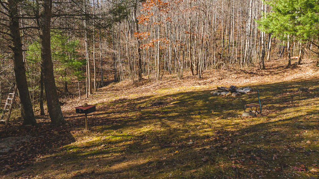 0 Pleasantview Road Austinville, VA 24312 - Photo 5 of 87 DJI_20231113115401_0296_D