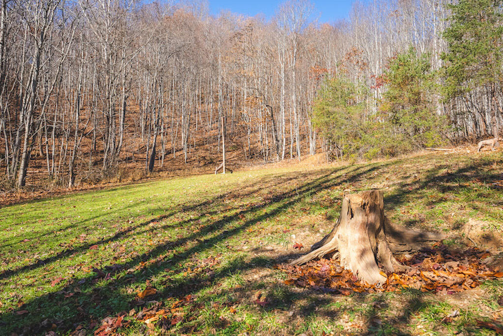 0 Pleasantview Road Austinville, VA 24312 - Photo 52 of 87 DSC03922
