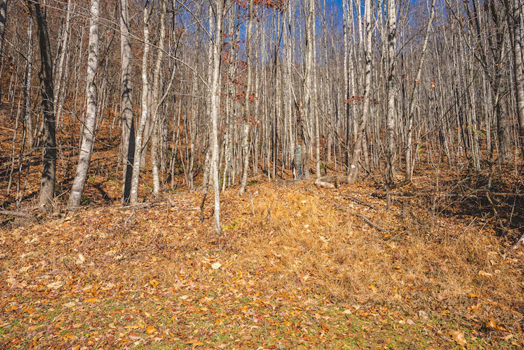 0 Pleasantview Road Austinville, VA 24312 - Photo 54 of 87 DSC03924