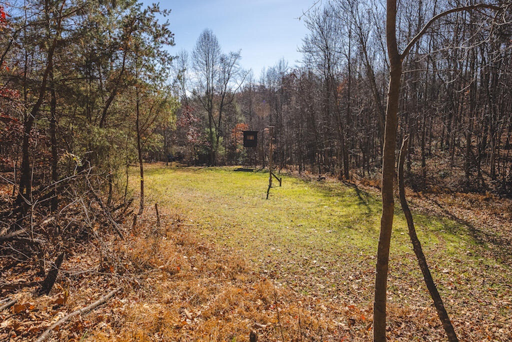 0 Pleasantview Road Austinville, VA 24312 - Photo 56 of 87 DSC03926