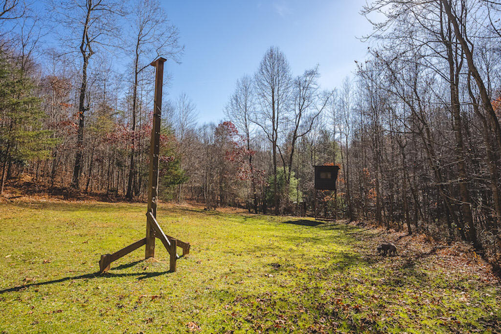 0 Pleasantview Road Austinville, VA 24312 - Photo 57 of 87 DSC03927
