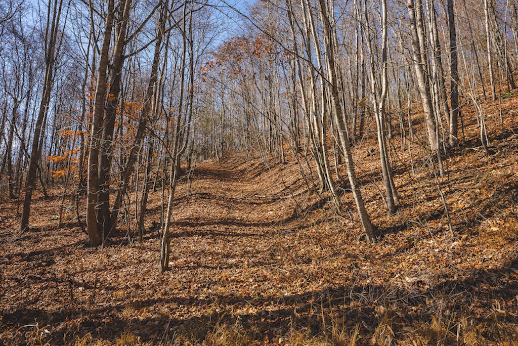 0 Pleasantview Road Austinville, VA 24312 - Photo 58 of 87 DSC03928