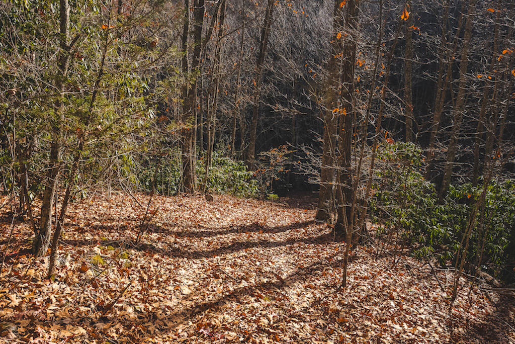 0 Pleasantview Road Austinville, VA 24312 - Photo 62 of 87 DSC03932