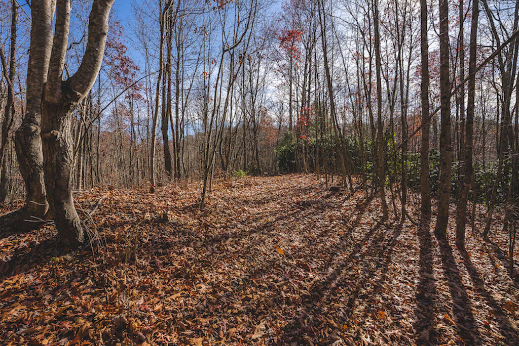 0 Pleasantview Road Austinville, VA 24312 - Photo 65 of 87 DSC03935