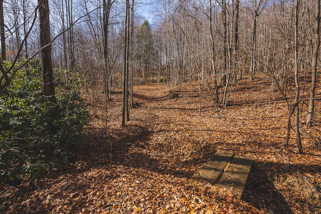 0 Pleasantview Road Austinville, VA 24312 - Photo 67 of 87 DSC03937