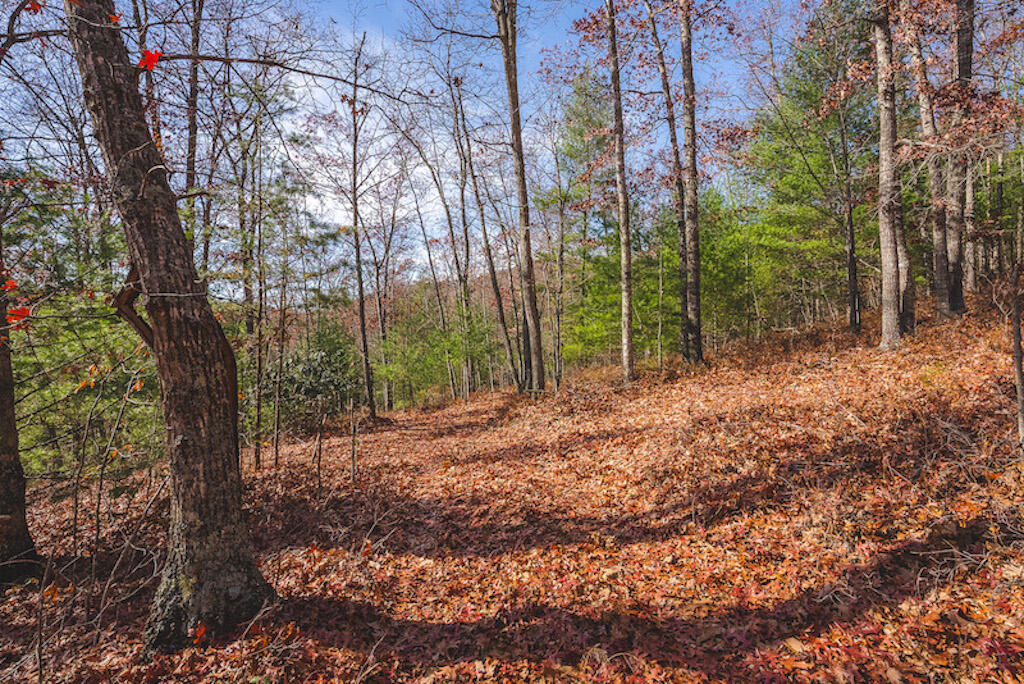 0 Pleasantview Road Austinville, VA 24312 - Photo 70 of 87 DSC03940