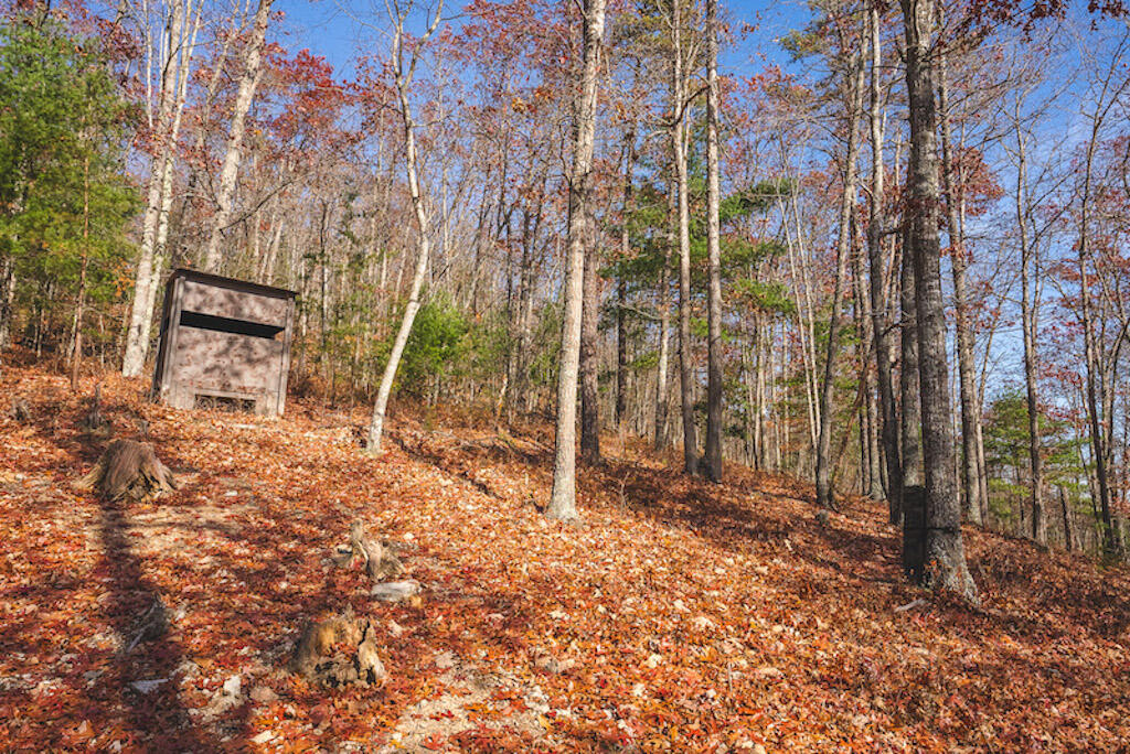 0 Pleasantview Road Austinville, VA 24312 - Photo 71 of 87 DSC03941