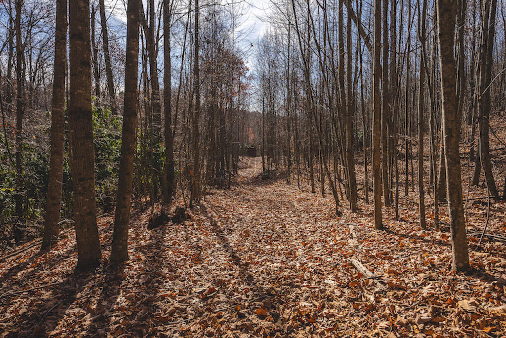0 Pleasantview Road Austinville, VA 24312 - Photo 74 of 87 DSC03944