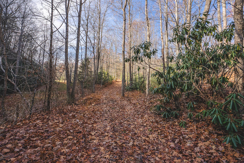 0 Pleasantview Road Austinville, VA 24312 - Photo 75 of 87 DSC03945