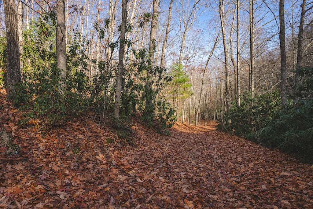 0 Pleasantview Road Austinville, VA 24312 - Photo 76 of 87 DSC03946