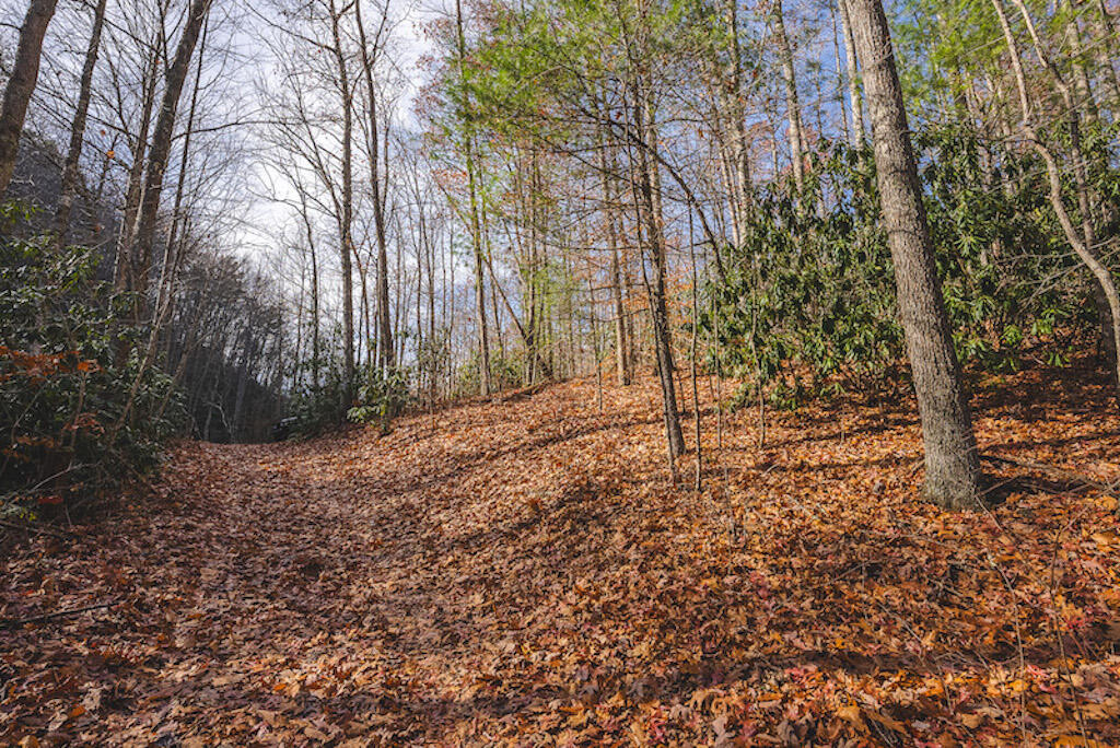 0 Pleasantview Road Austinville, VA 24312 - Photo 78 of 87 DSC03948